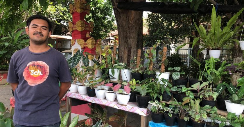 Usaha Tanaman Hias Cukup Menjanjikan Ditengah Pandemi