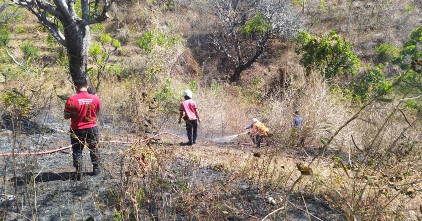 Lahan Di Desa Temukus Terbakar, Damkar Buleleng Terkendala Medan