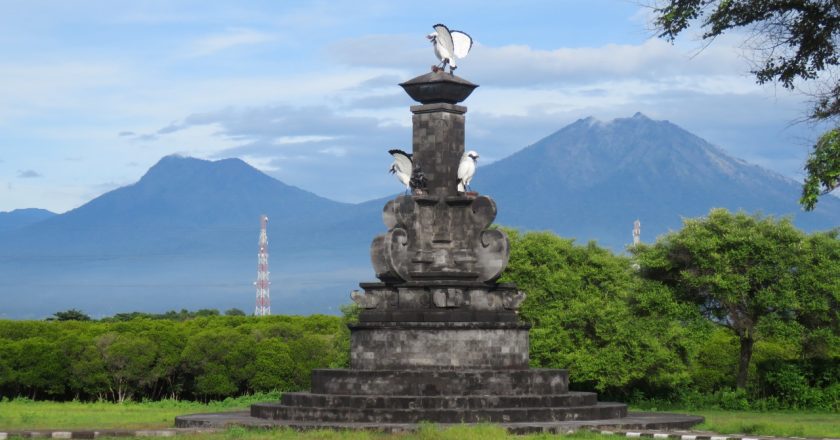 Selama Pandemi, Populasi Curik Bali dan Rusa di TNBB Meningkat