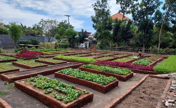 Sukses Kelola TPS3R, Pemdes Baktiseraga Target Perluas Urban Faming