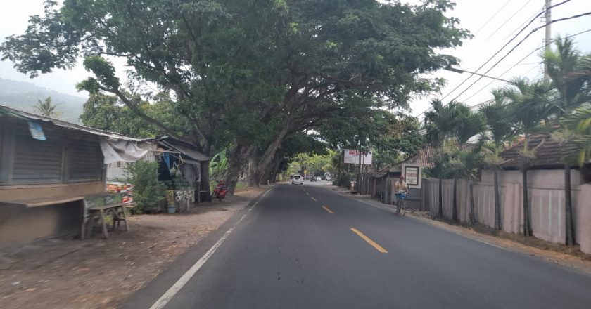 Menjelang Musim Penghujan, DLH Mulai Agendakan Pemangkasan Pohon Perindang