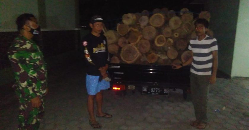 TNI Hadang Pengiriman Kayu Langka
