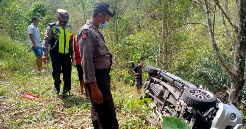 Diduga Alami Rem Blong, Mobil Terperosok ke Kebun Warga