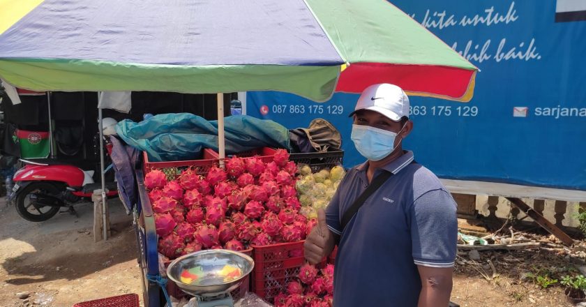 Permintaan Buah Naga Sepi, Pedagang Buah Naga Asal Banyuwangi Tetap Bertahan
