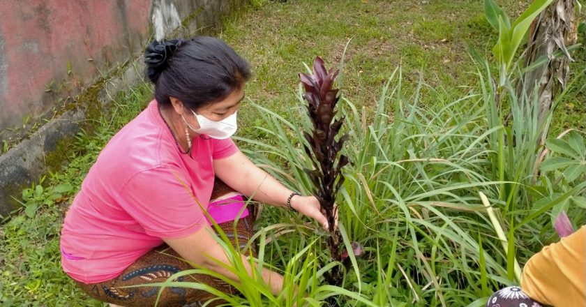 Komunitas Balawa Gandeng PKK Semai Tanaman Hias
