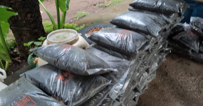 Bank Sampah Kaliber Kembangkan Pupuk Kompos Ditengah Pandemi