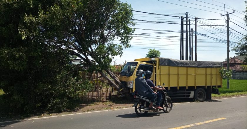 Sopir Mengantuk, Truk Sruduk Pohon