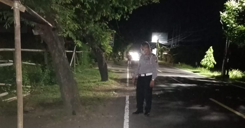 Tabrak Pohon, Pengendara Motor Meninggal Dunia