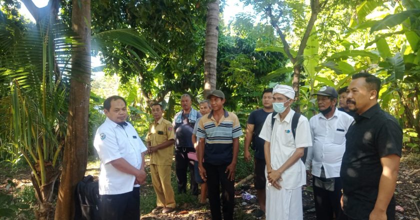 Kaum Milenial Mulai Kembangkan Budidaya Ikan Air Tawar