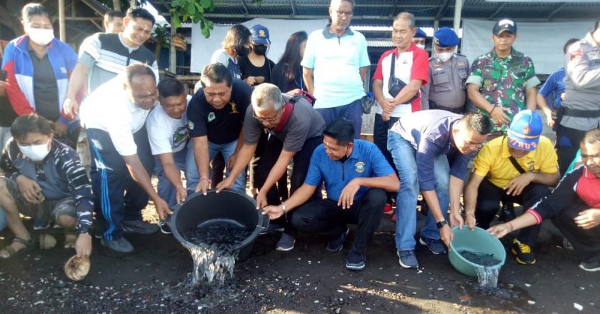 Ratusan Tukik Dilepas di Hari Tumpek Klurut