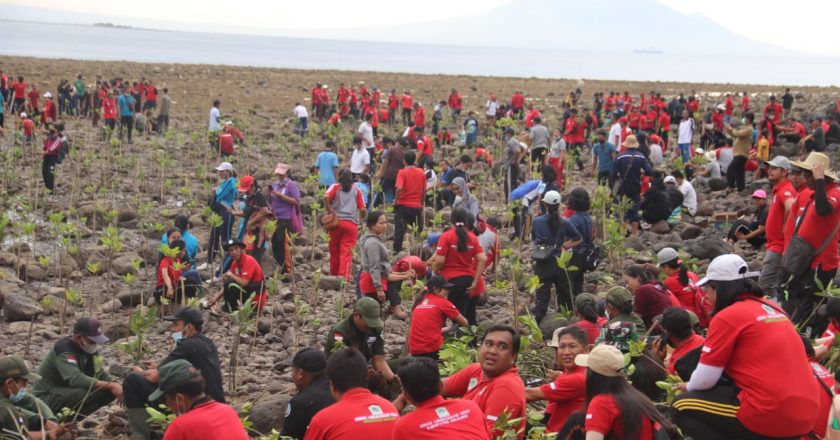 Pemkab Buleleng Lakukan Upaya Restorasi Hutan Mangrove di Pantai Desa Pemuteran