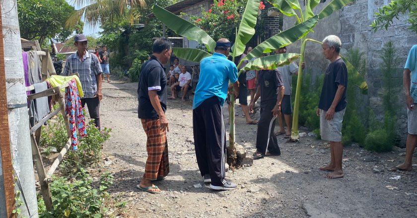 Warga Tanam Pohon Pada Jalan Rusak