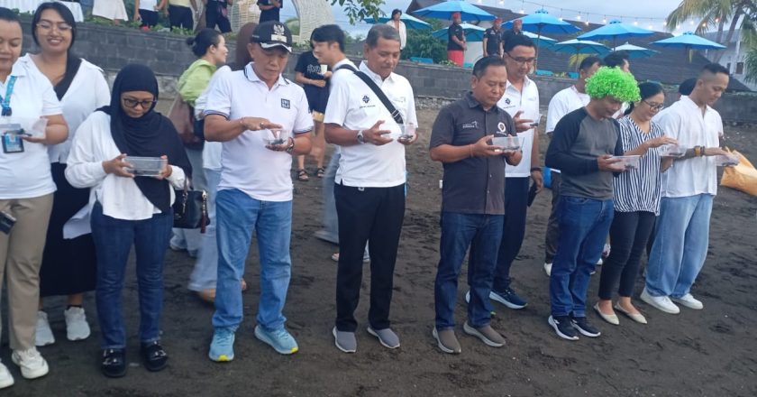 Bertepatan dengan Tumpek Klurut, 50 Tukik Dilepas ke Laut di Pantai Lovina