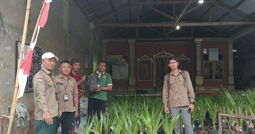 11 Ribu Bibit Kelapa Genjah Disalurkan, Distan Buleleng Diminta Pastikan Bukan Sekadar Program Seremonial