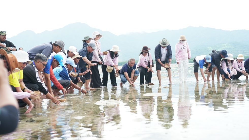 Dies Natalis ke-33, Undiksha Tanam Mangrove dan Lepas Tukik di Pesisir Sumberkima