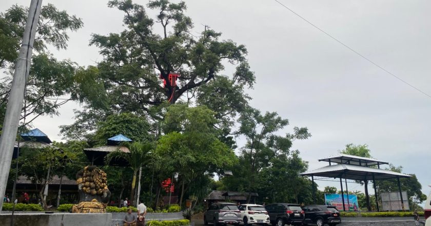 Dari Pohon Pantau Ke Pariwisata