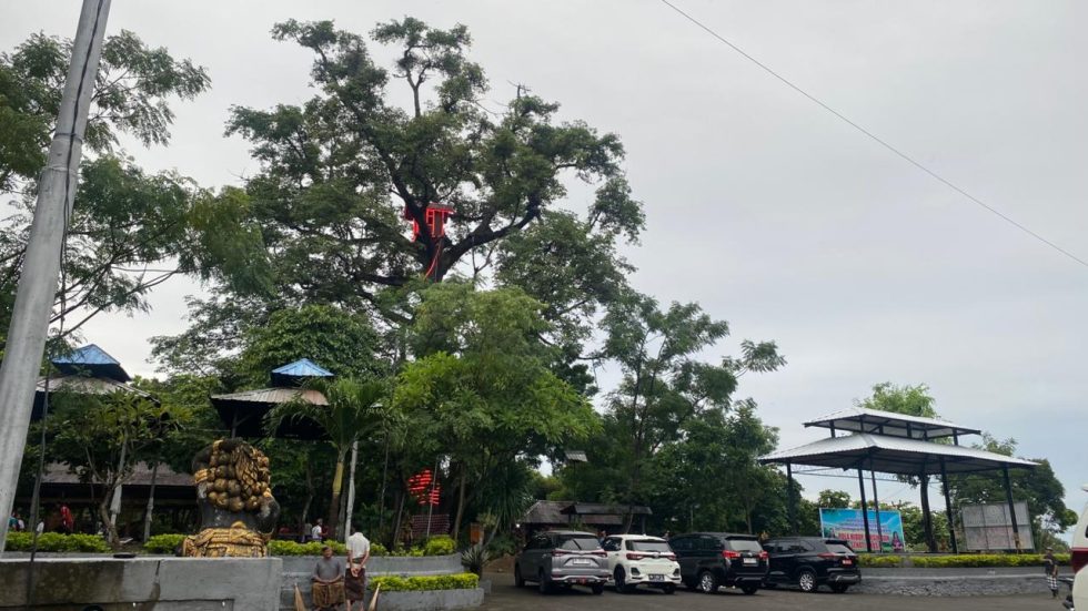 Dari Pohon Pantau Ke Pariwisata