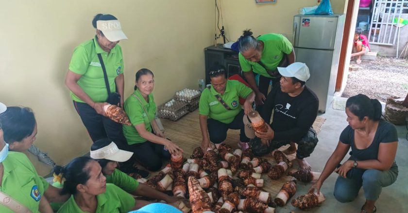 Bangkitkan Potensi Lokal, Anggota DPRD Buleleng Latih Lansia Olah Talas dan Telur Asin
