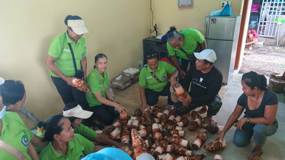 Bangkitkan Potensi Lokal, Anggota DPRD Buleleng Latih Lansia Olah Talas dan Telur Asin
