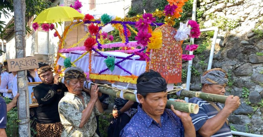 Anak 4 Tahun di Buleleng Meninggal Dunia Akibat DBD