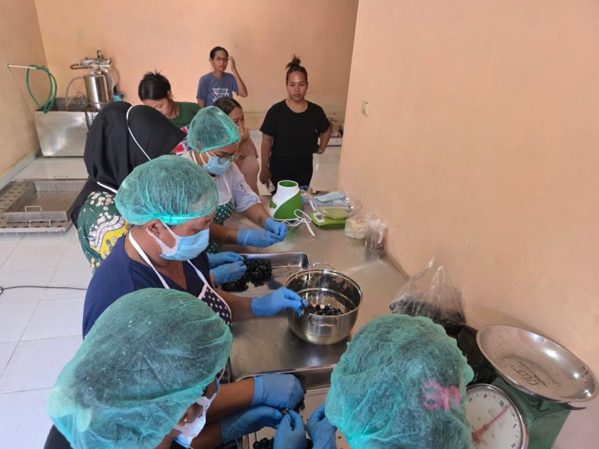 Program Bestari Scientech Undiksha Dampingi Petani Anggur Desa Banjar